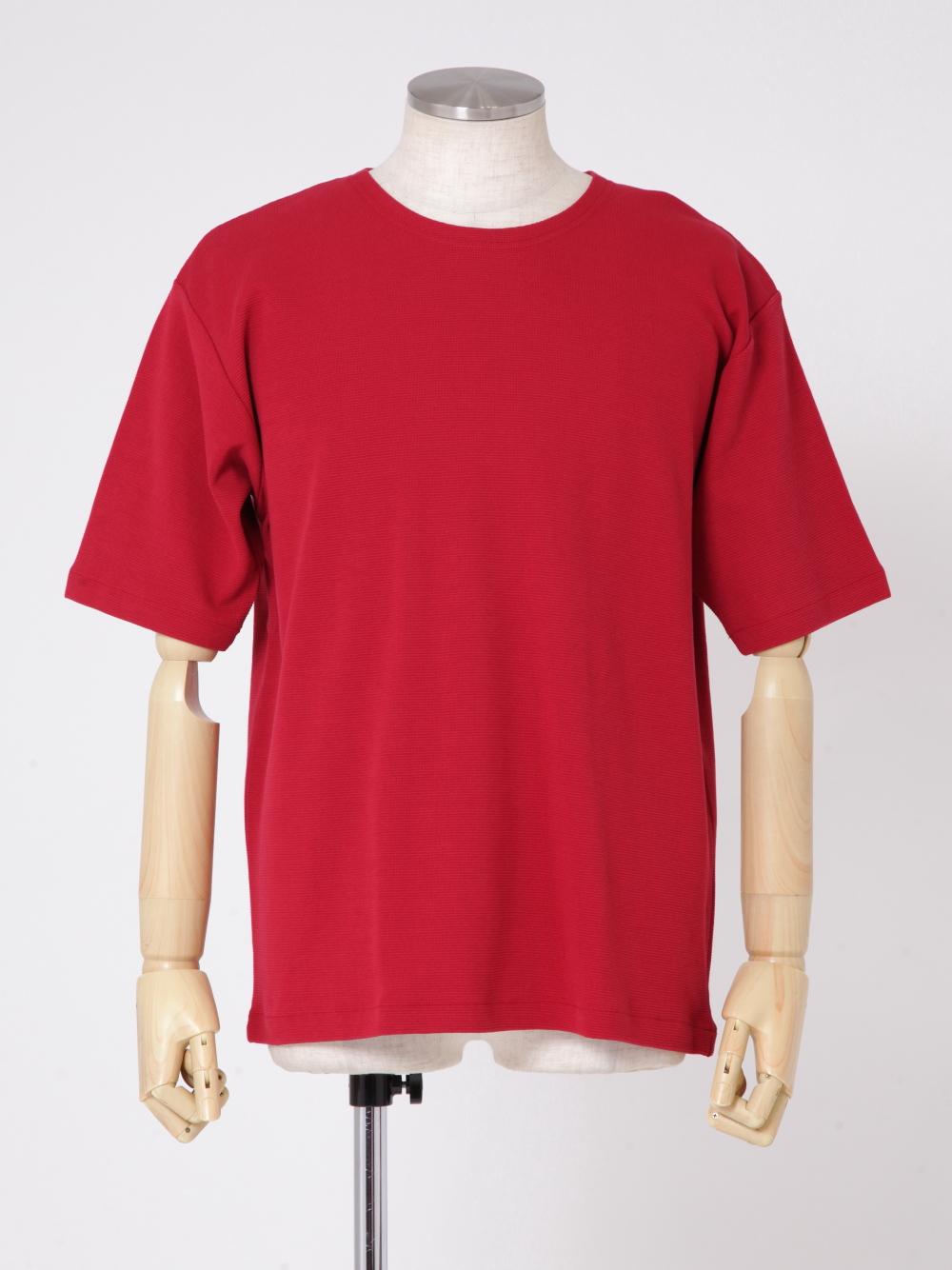 TRE090007