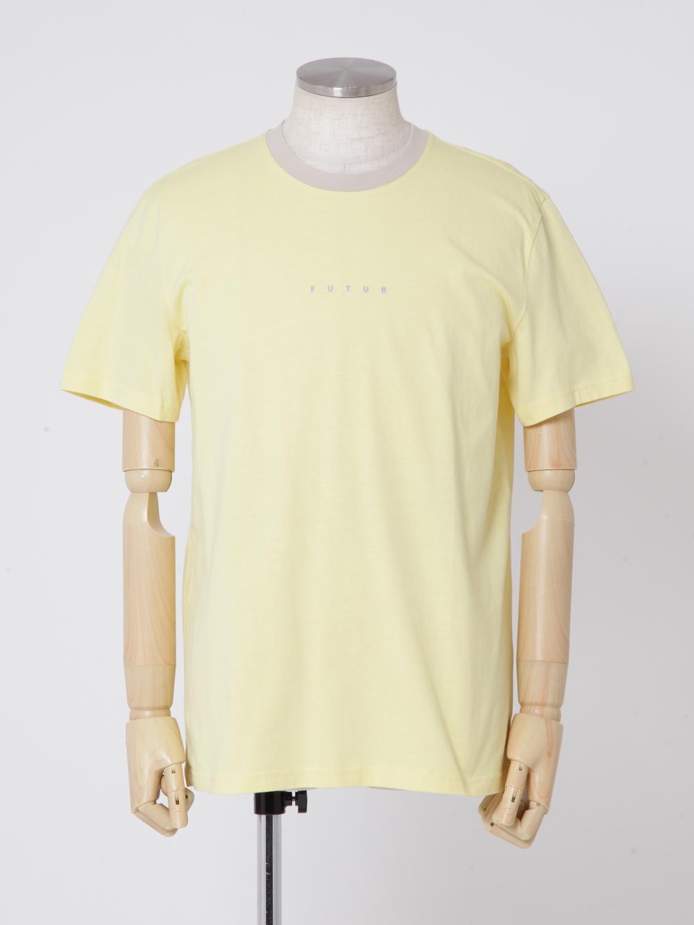 TYE090004