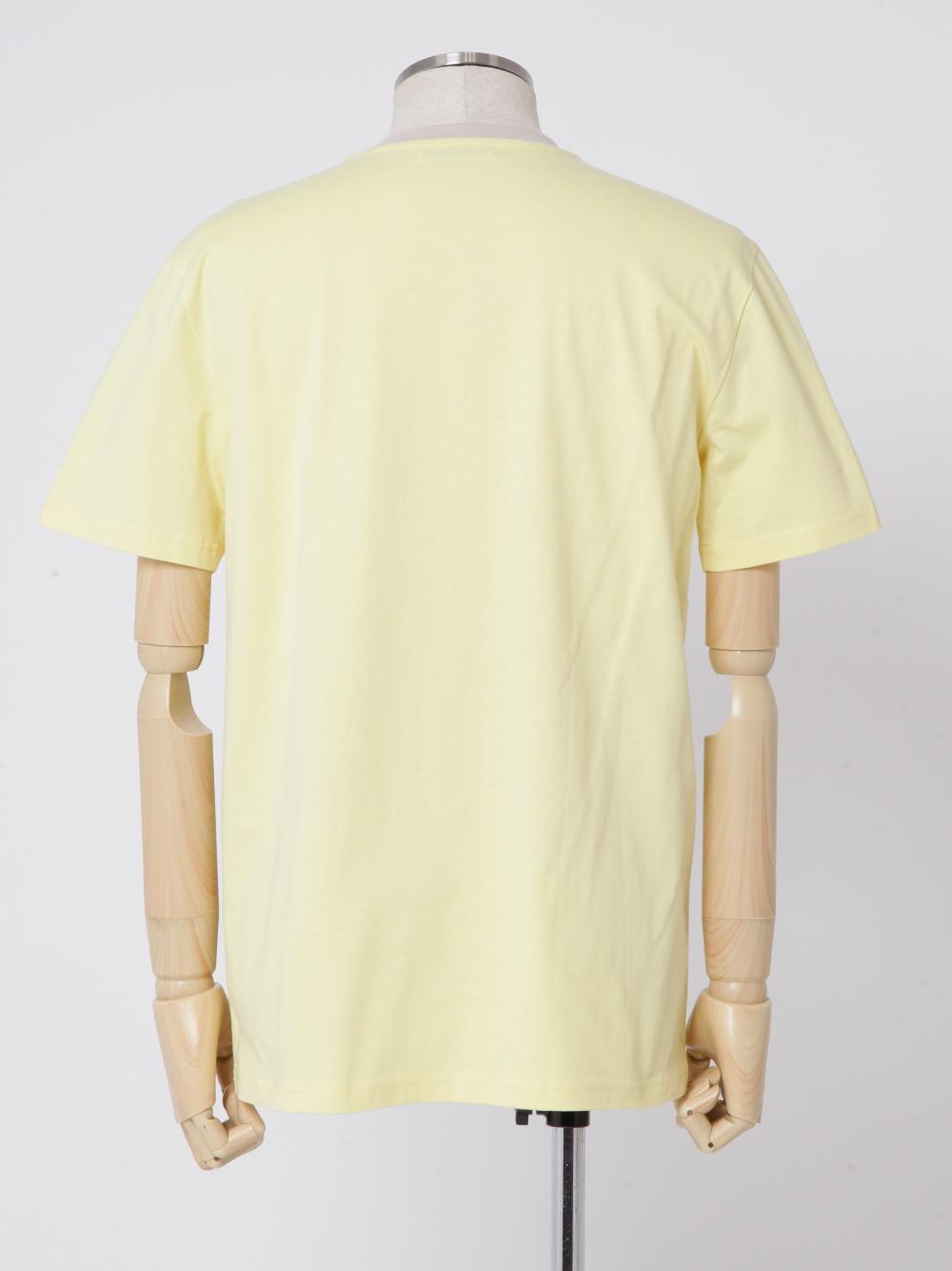 TYE090004