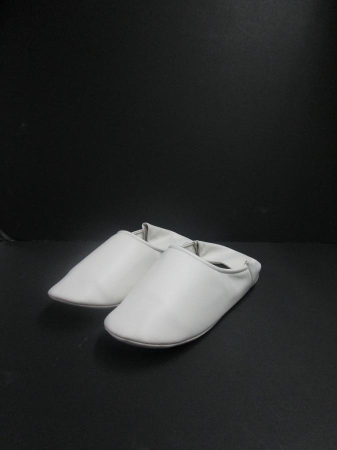 12RW19b