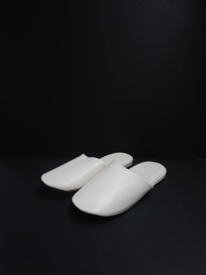 12RW20b