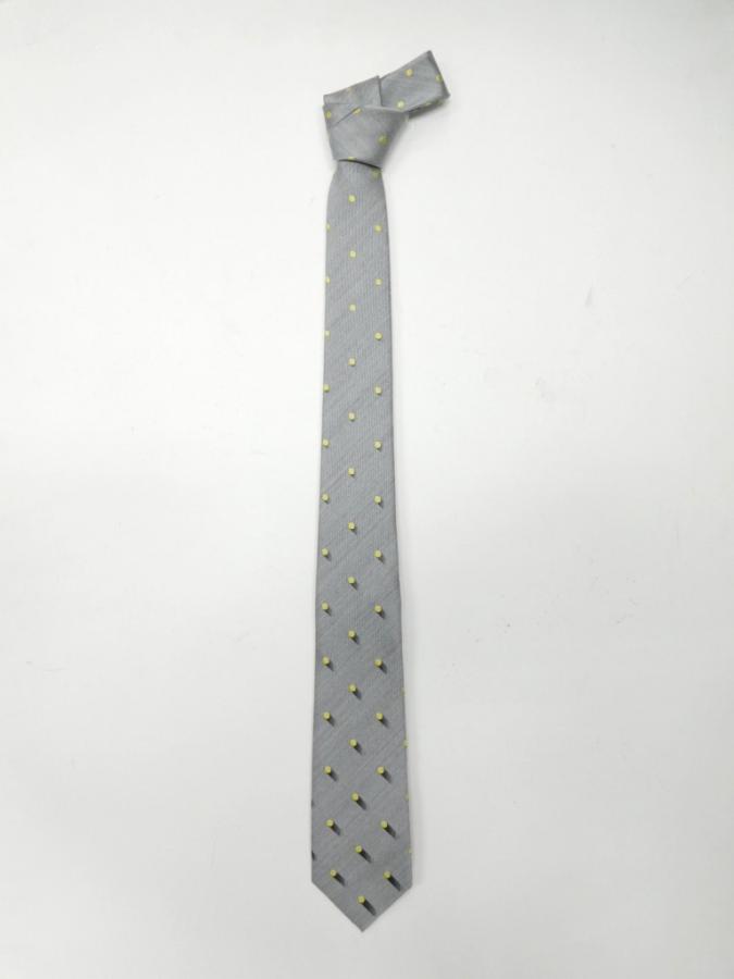 NG2488b