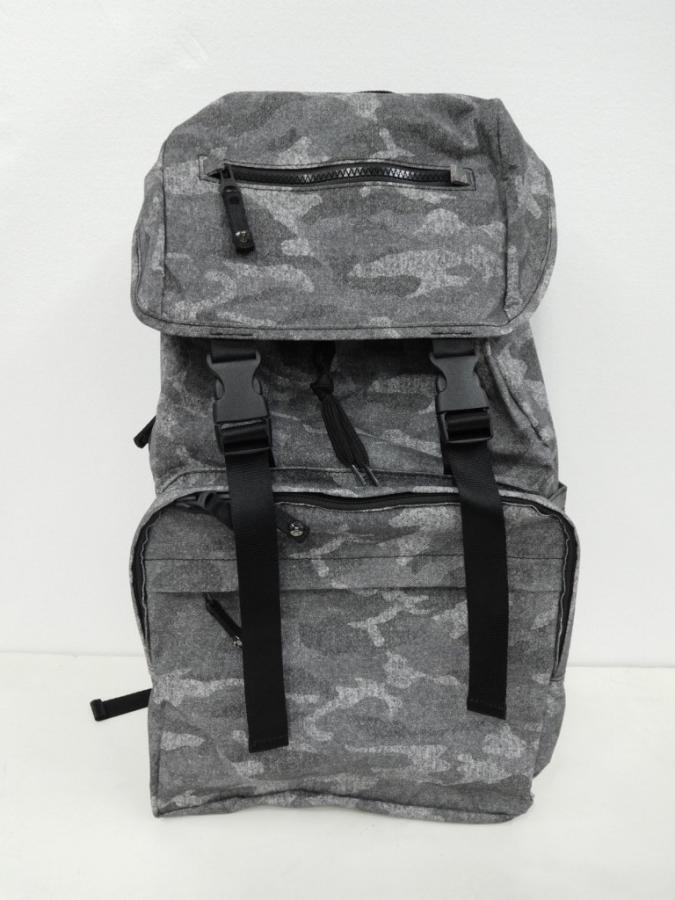 BAGG3b