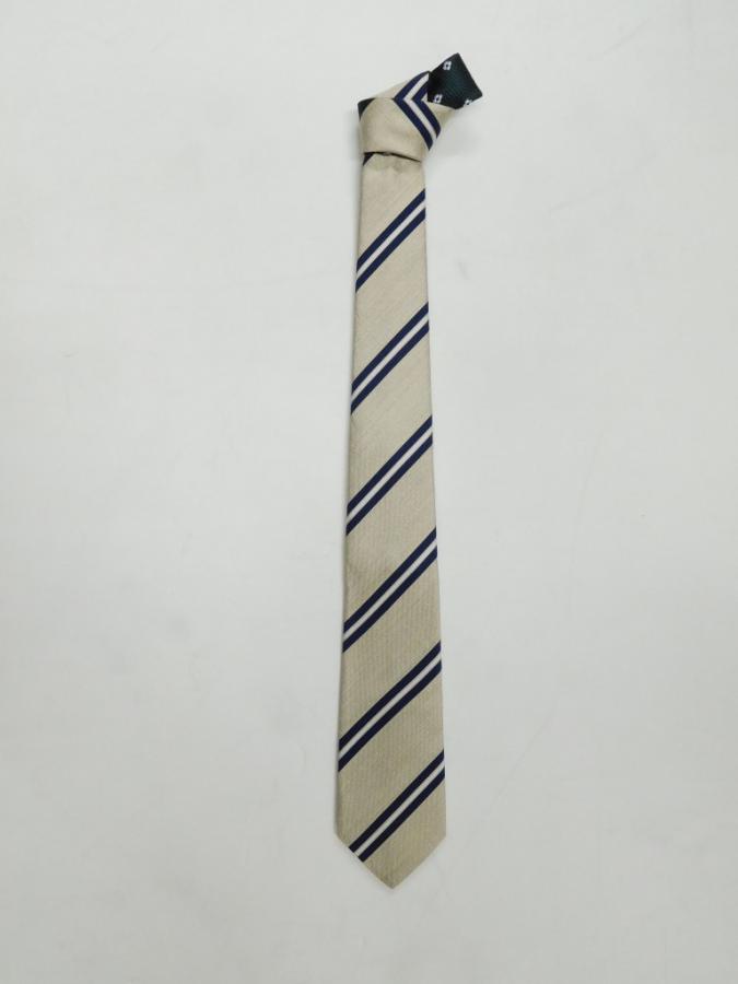 NBR2539b