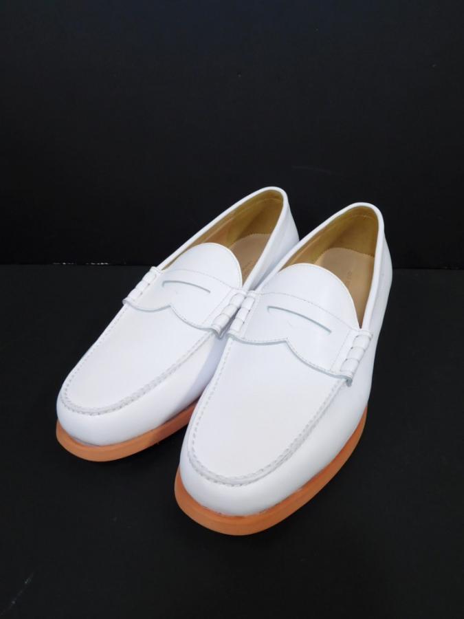 12PW70b
