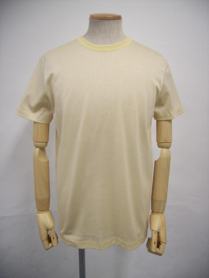 TYE290b