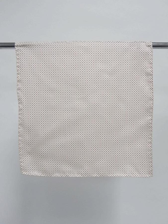 SPYE244b