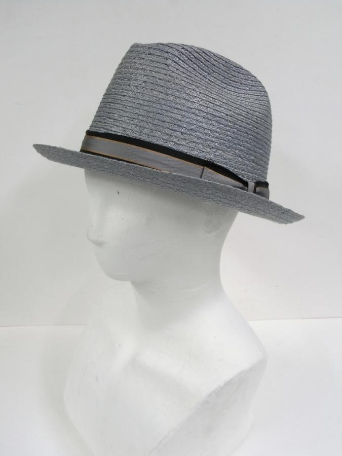 hatG137b