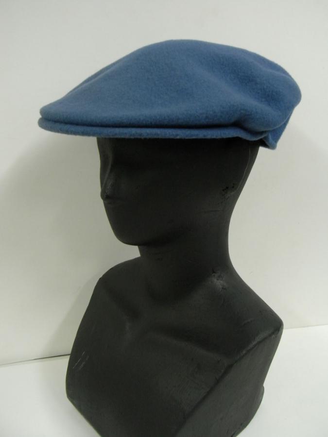 hatBL230b