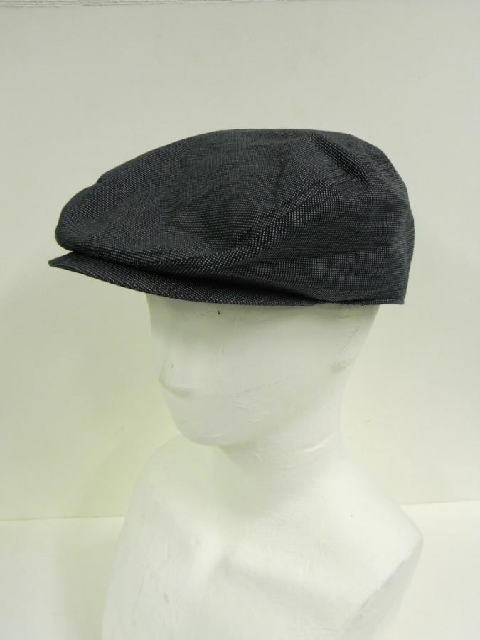 hatN231b