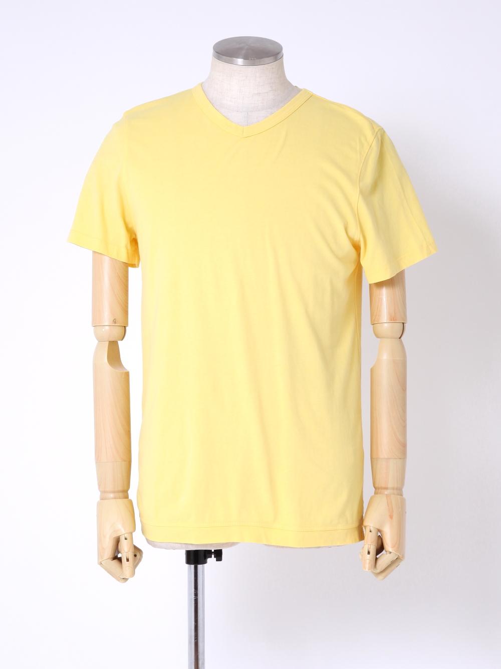 TYE060008