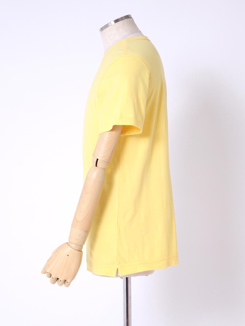 TYE060008