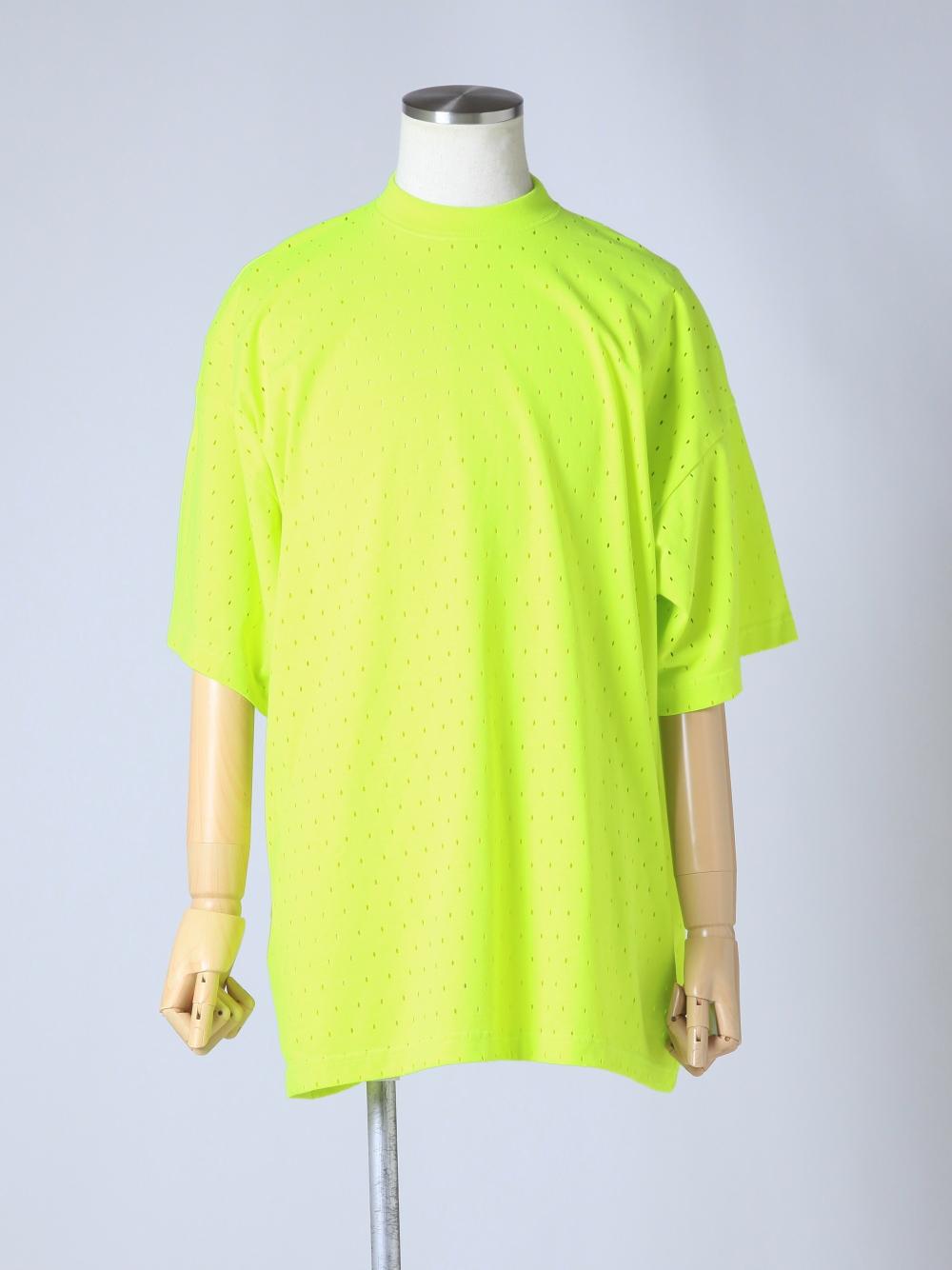 TYE060013