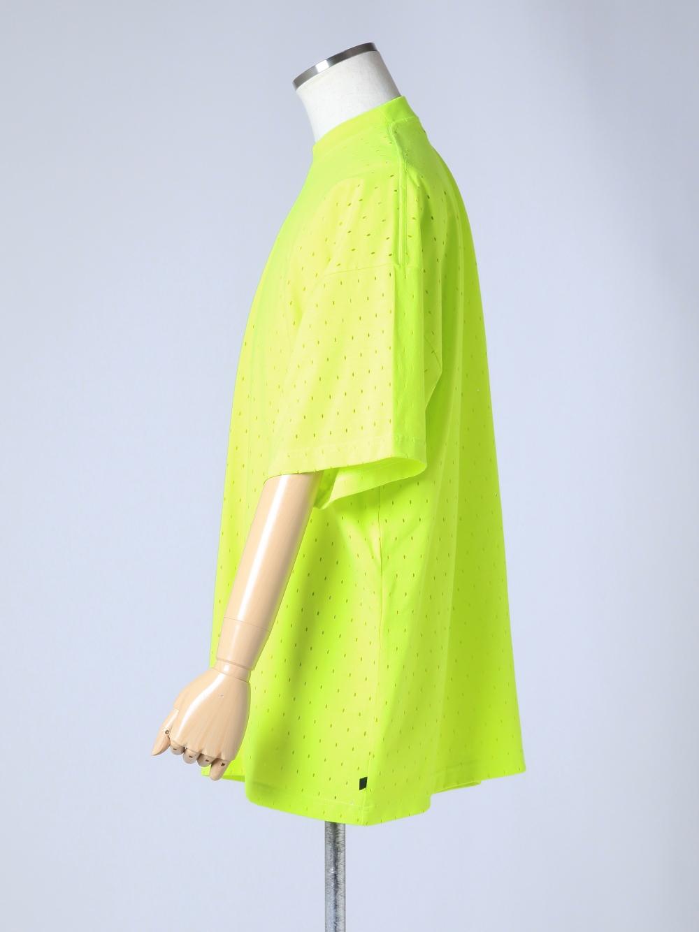 TYE060013