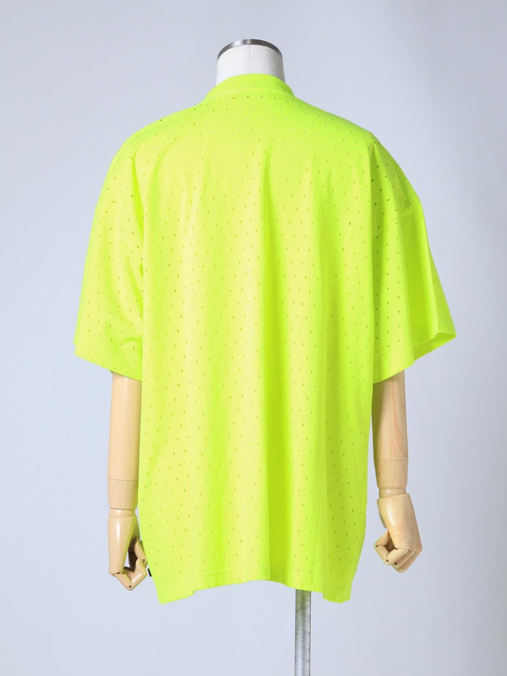 TYE060013