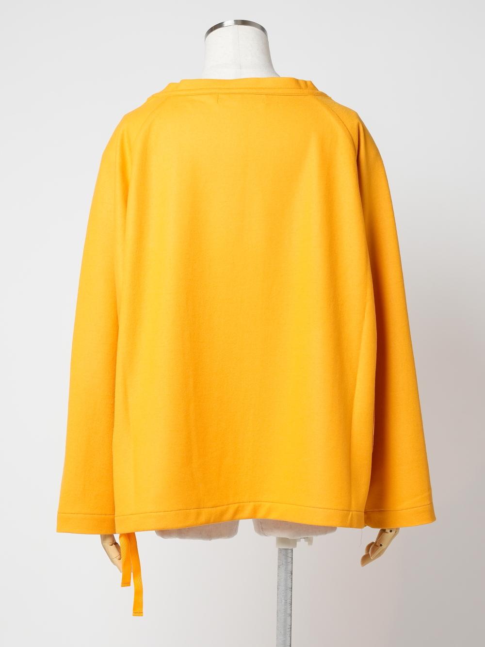 TYE080001