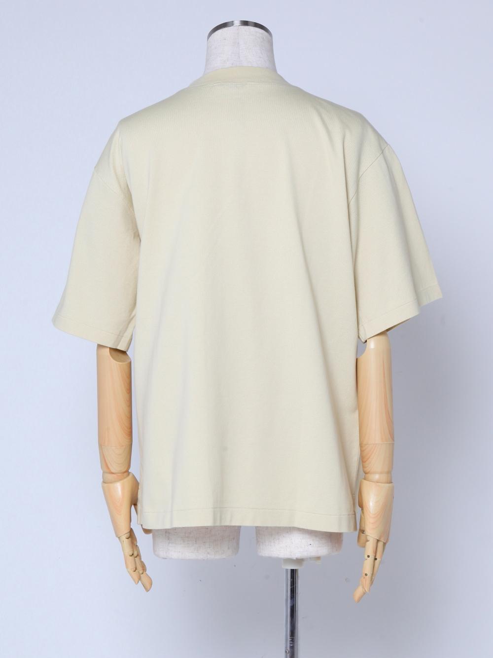 TYE060019