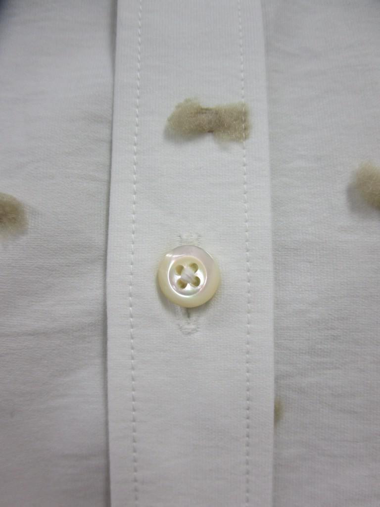 2W295b