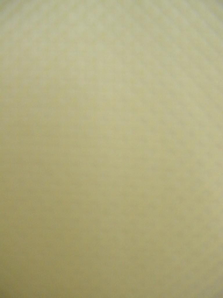 2YYE1558b