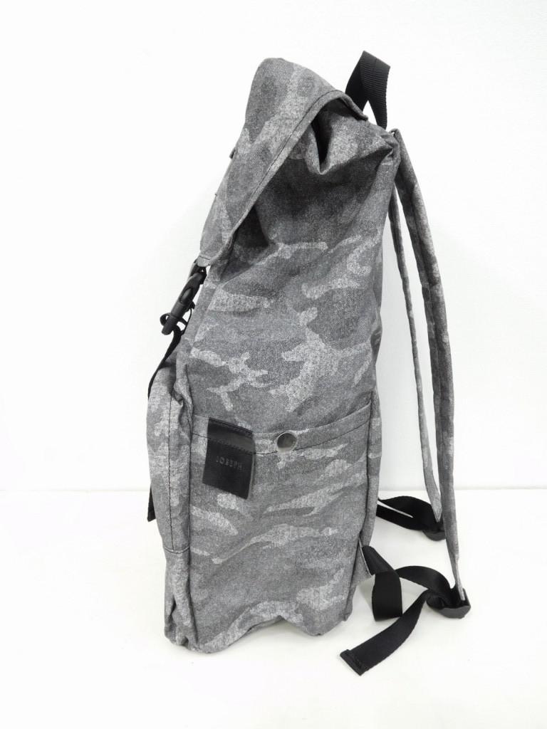 BAGG3b