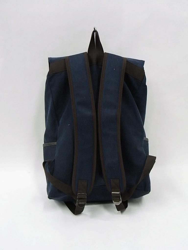 BAGN1b