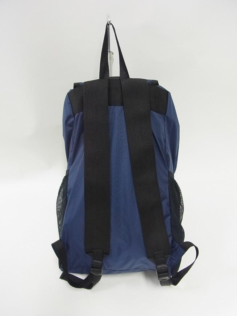 BAGN6b