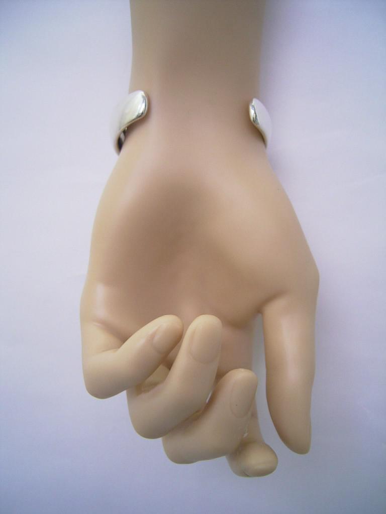 BRA101b