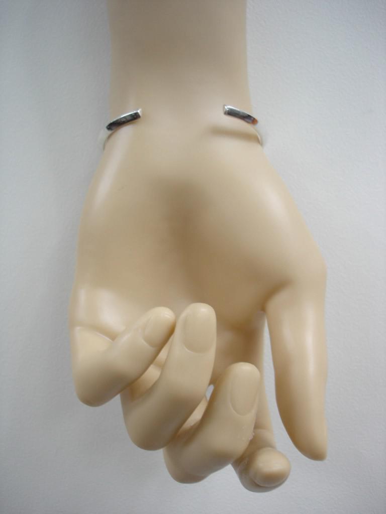 BRSI120b
