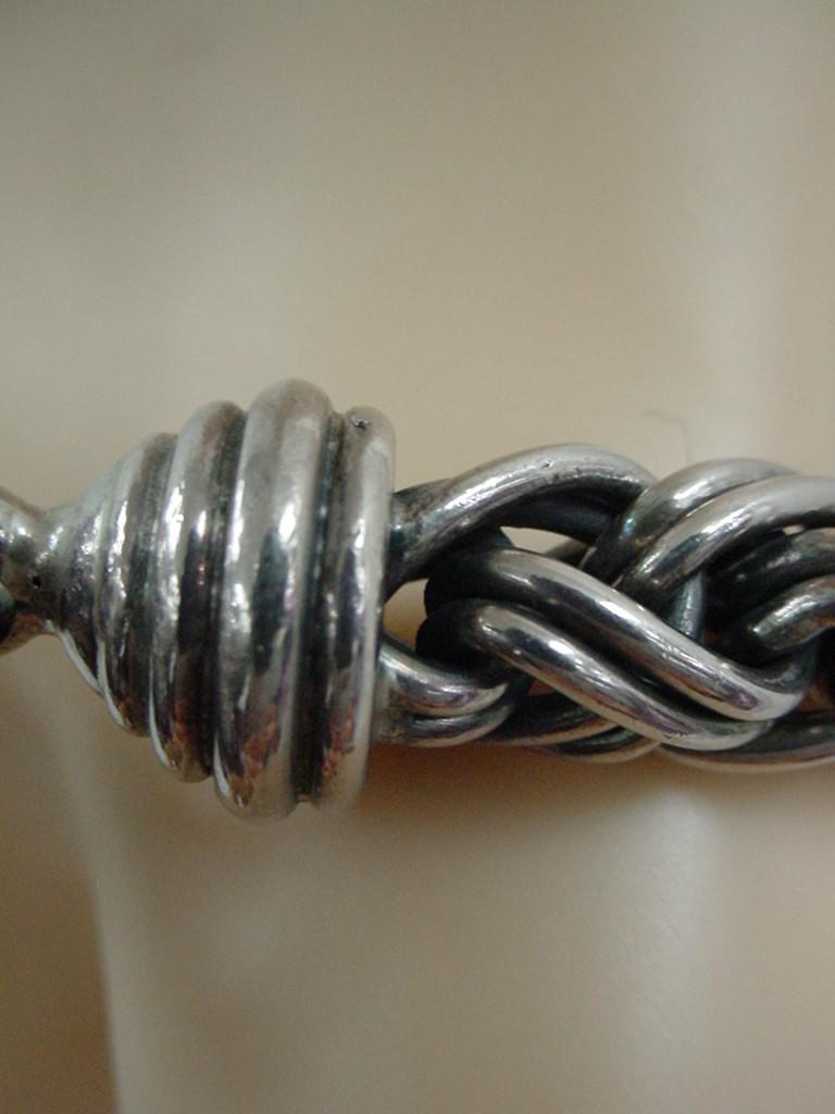 BRSI141b