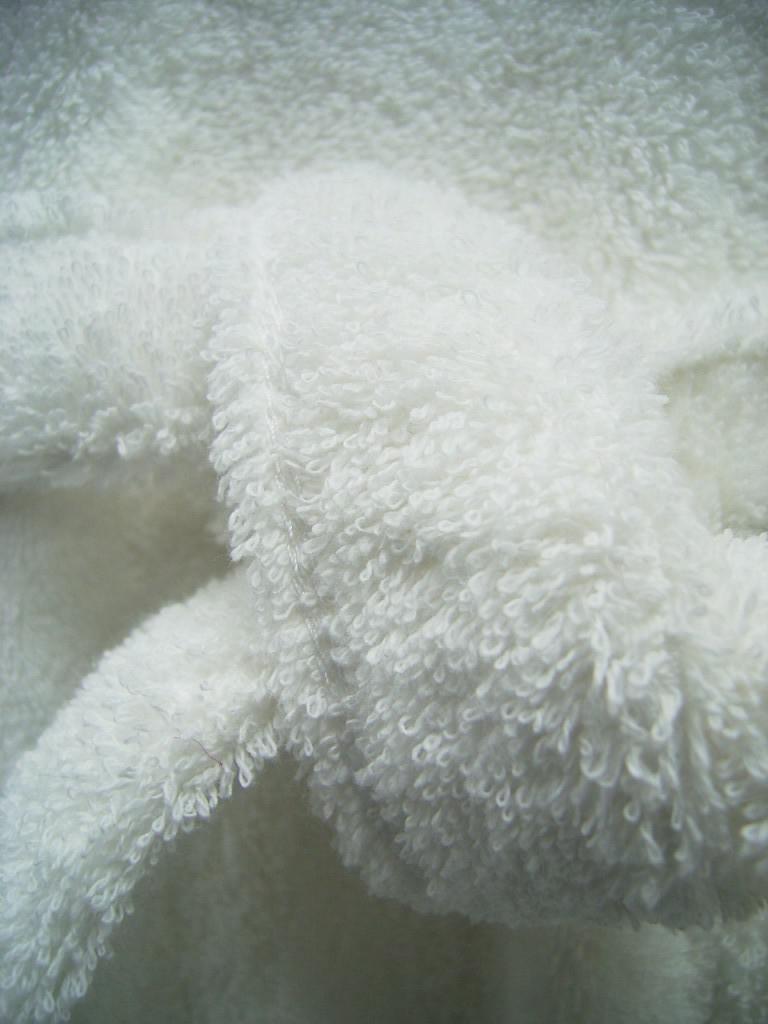 BW76b