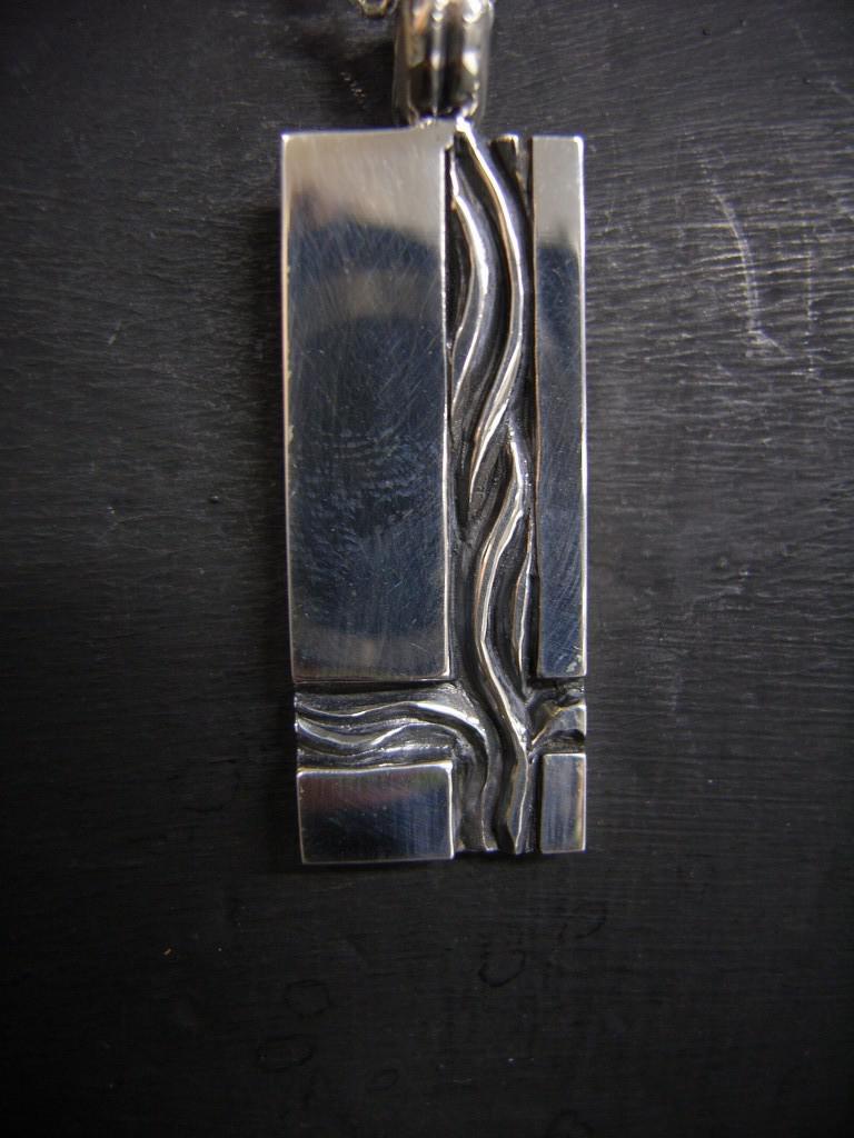 NESI250b