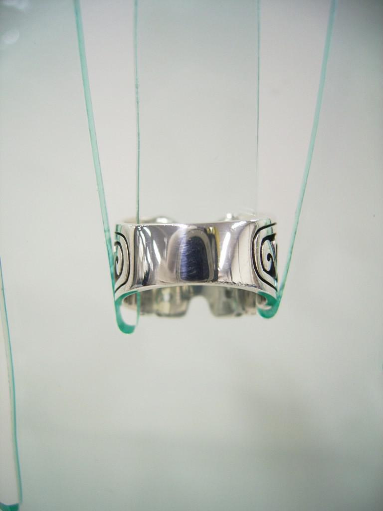 RISI50b
