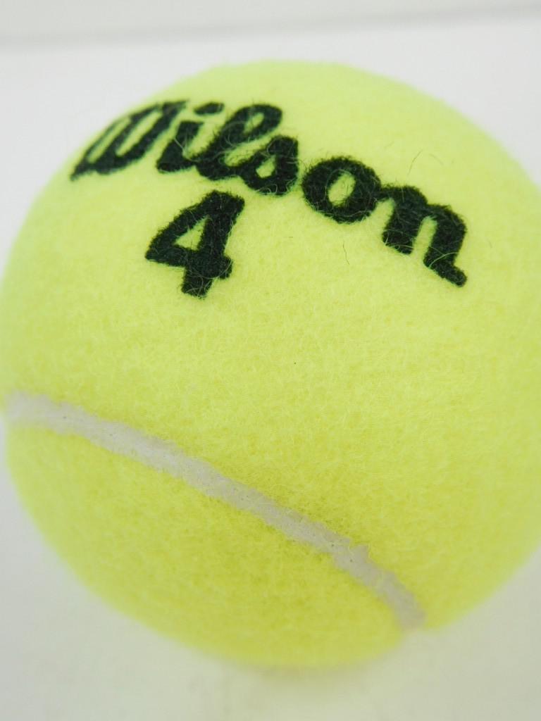 SkomonoYE7b