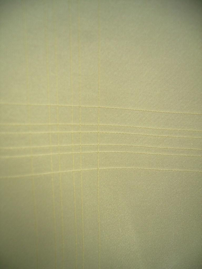 SPYE184b
