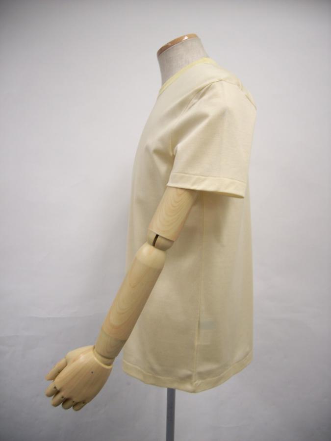 TYE290b