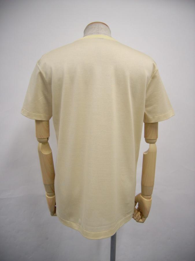 TYE290b