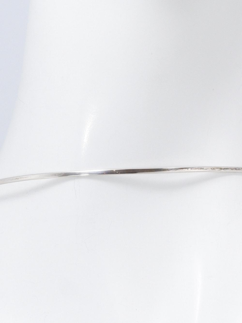 NESI1157c