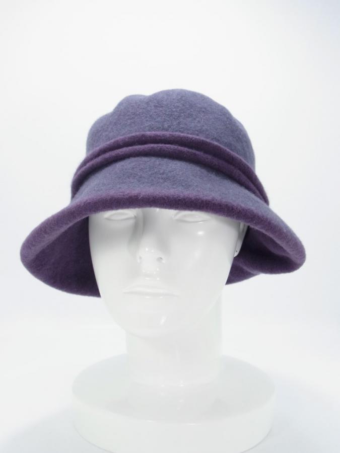 2CAPU667e