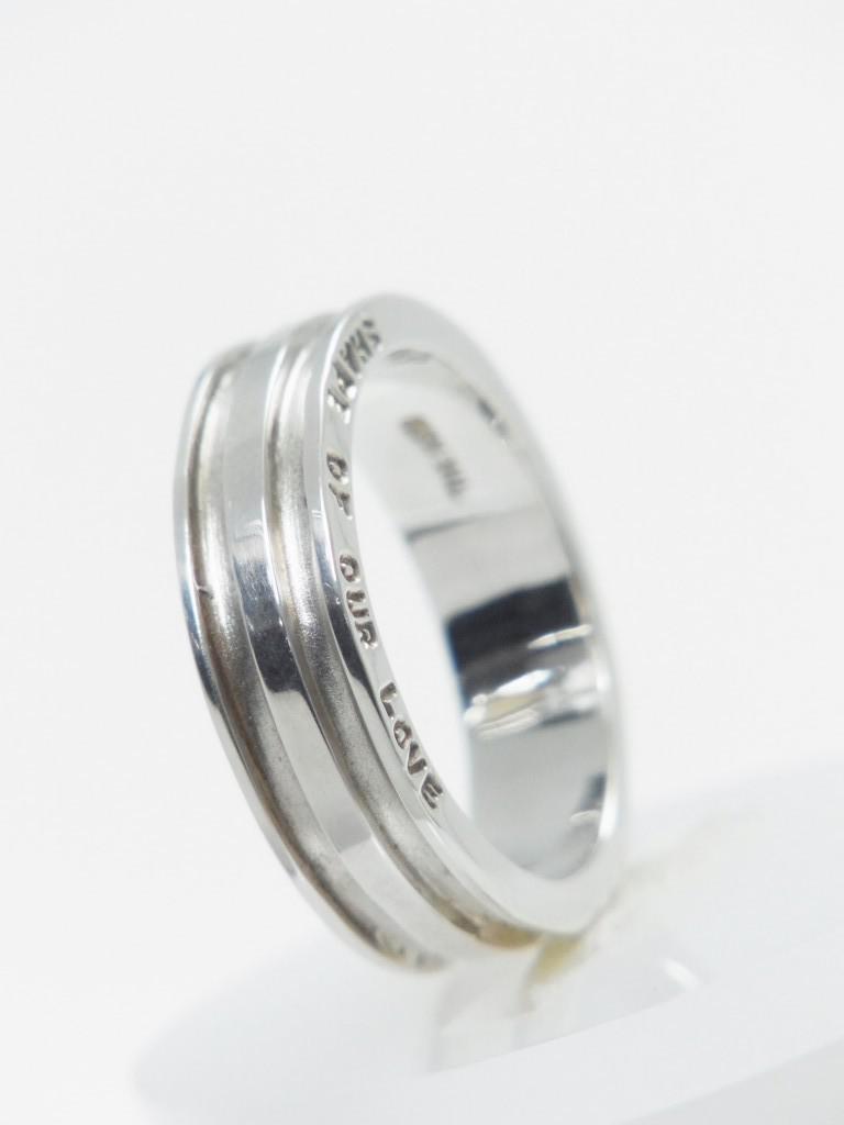 RISI102e