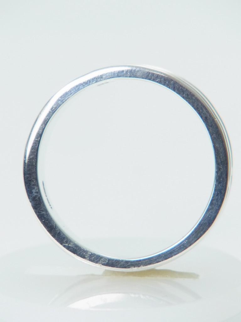 RISI103e