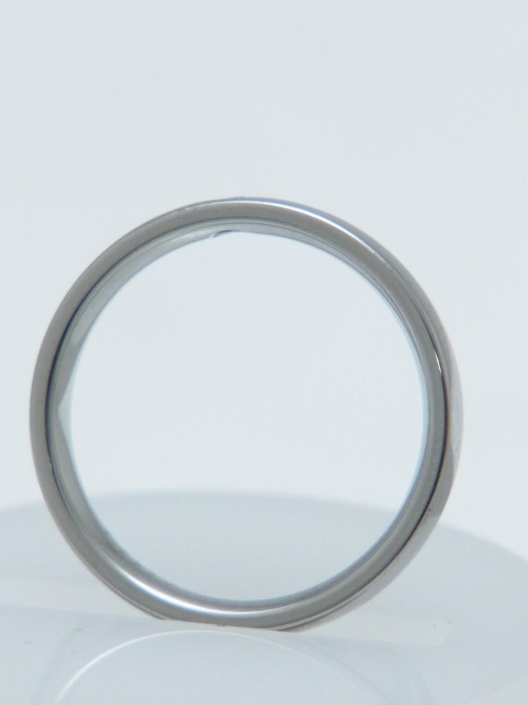RISI104e