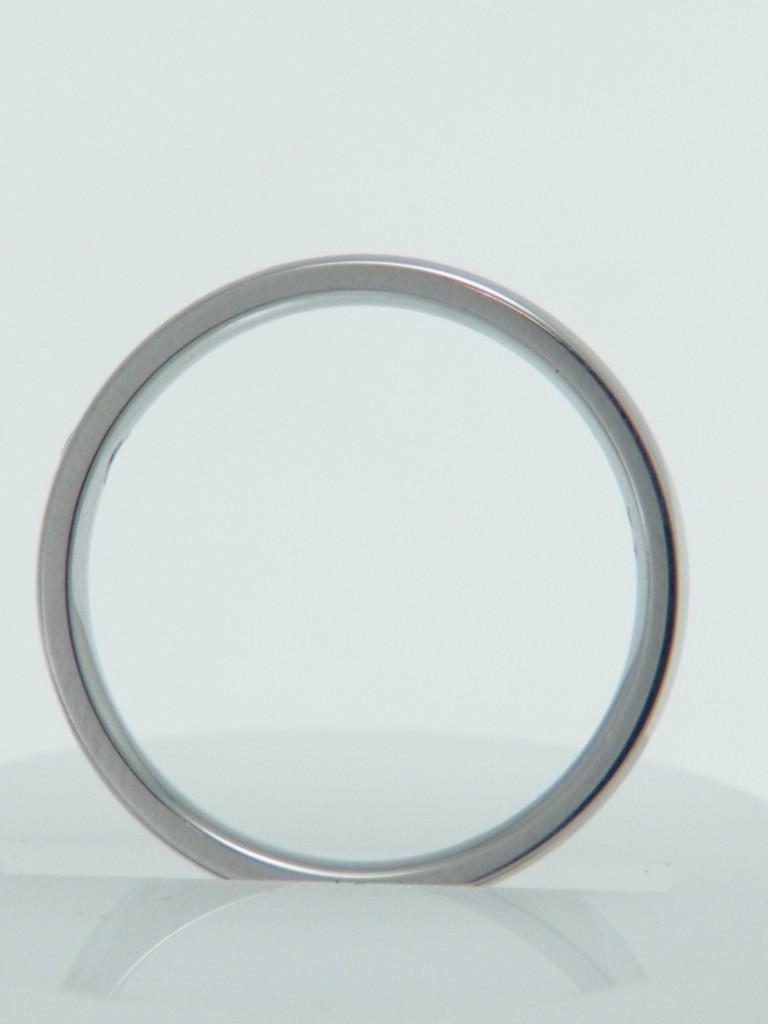 RISI105e