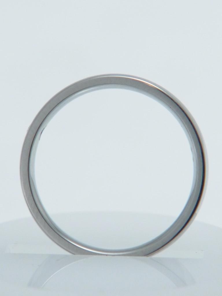 RISI107e