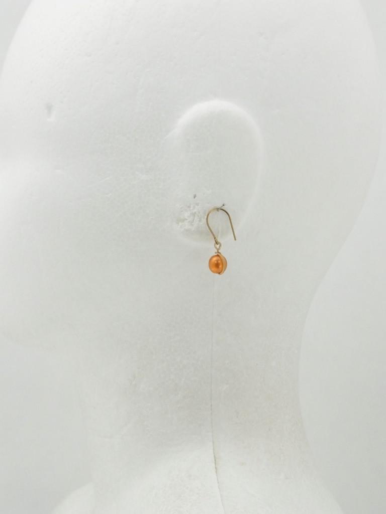 EAOR1089e