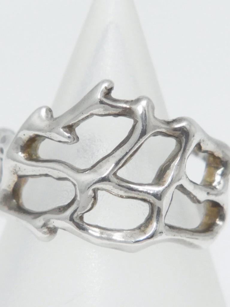 RISI95e