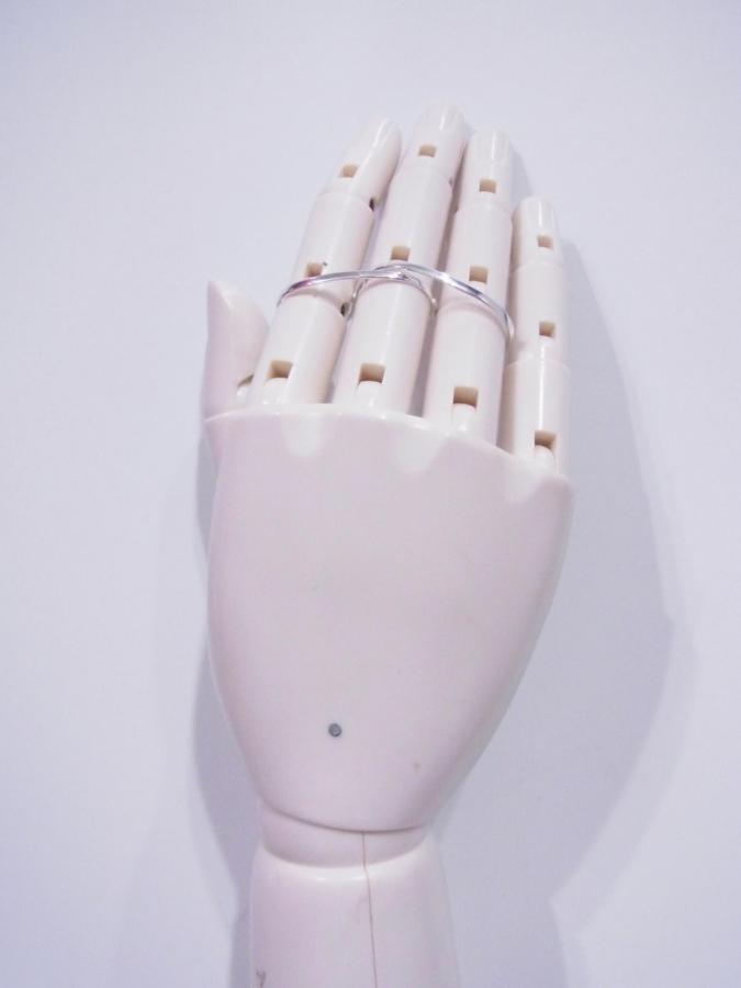 RISI59c