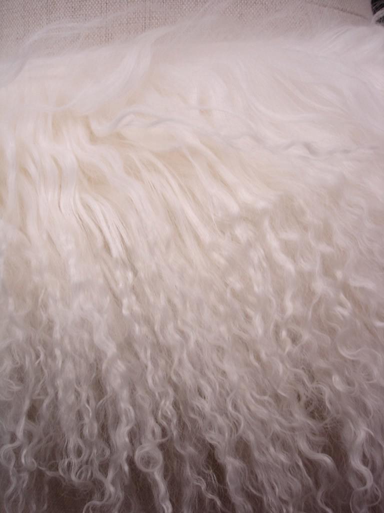 beltW253c