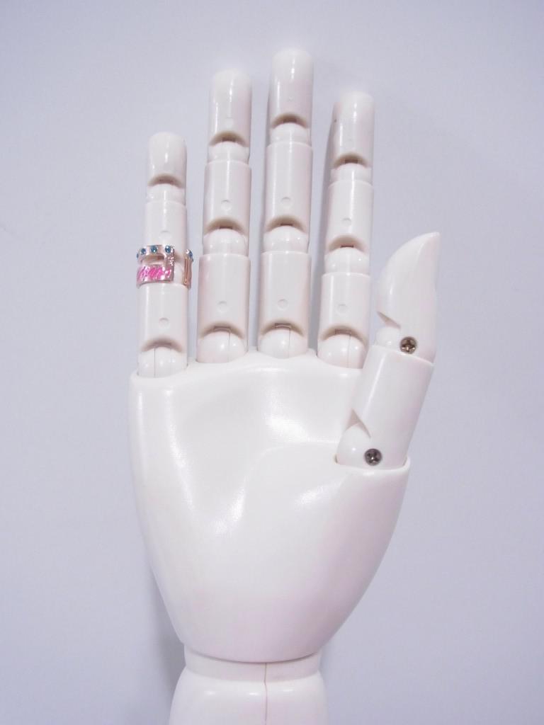 RIPI63c