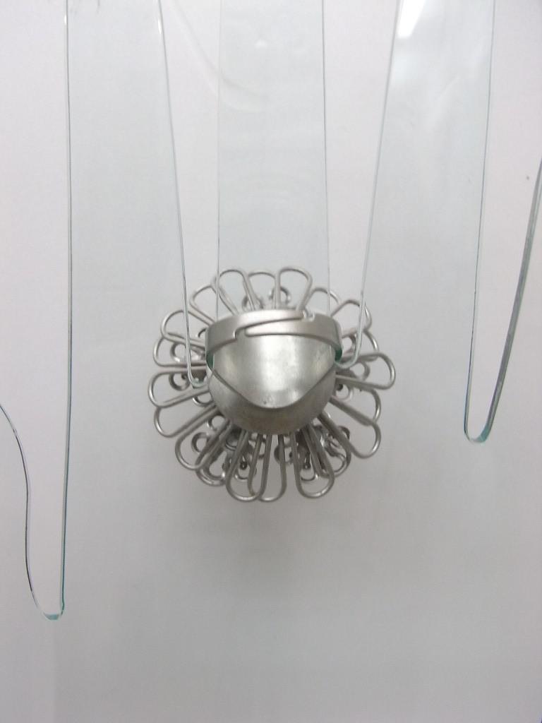 RISI50c