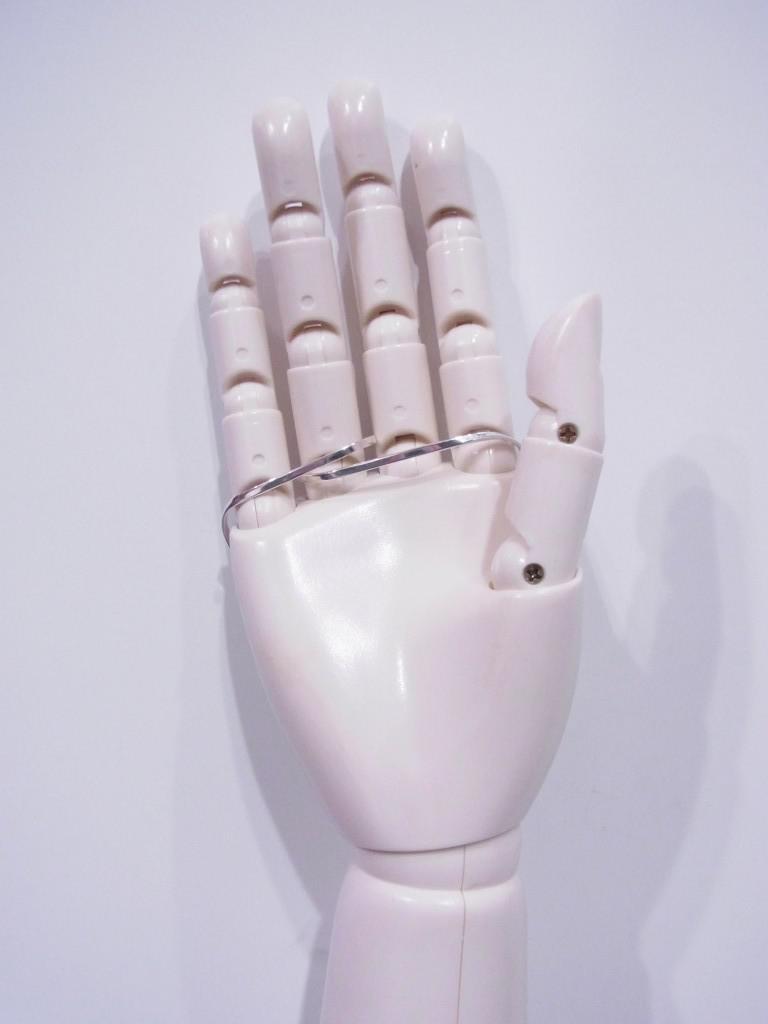 RISI61c